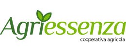 logo-agriessenza-cooperativa-agricola-box